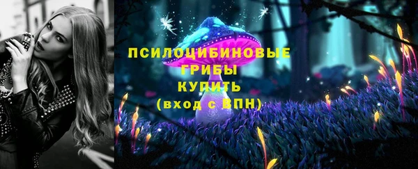 эйфоретик Аркадак