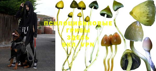 бошки Новозыбков